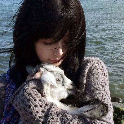 美味猎手