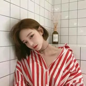 藏獒情未了